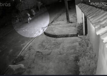 Iranduba: 10 presos fogem de delegacia e causam pânico na população do município