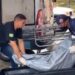 Mãe e filho são executados dentro de casa, no Santo Agostinho