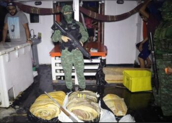 Sete toneladas de pirarucu ilegal são apreendidos pela polícia em embarcações