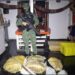 Sete toneladas de pirarucu ilegal são apreendidos pela polícia em embarcações