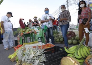 Prefeitura lança ‘Plano Safra de Manaus’ com investimento de R$ 14 milhões