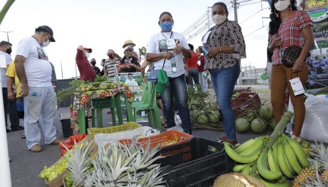 Prefeitura lança ‘Plano Safra de Manaus’ com investimento de R$ 14 milhões