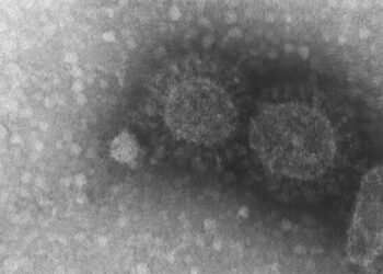 Brasil registra 570 casos de infecção pela variante Delta