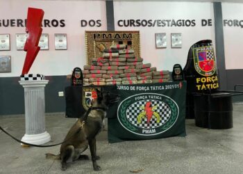 Cerca de 80 quilos de maconha são apreendidos no Zumbi, com ajuda de cão farejador