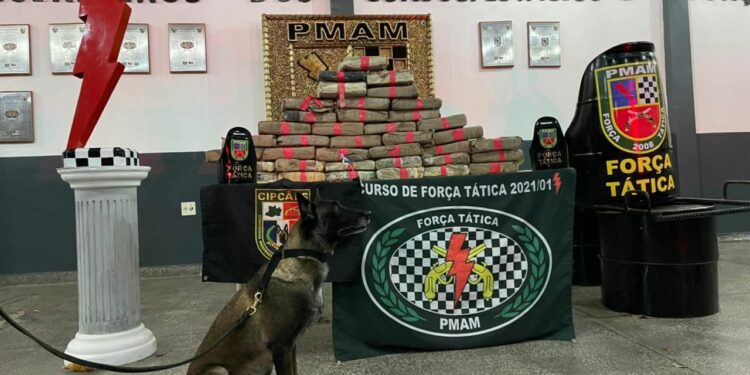 Cerca de 80 quilos de maconha são apreendidos no Zumbi, com ajuda de cão farejador