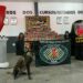 Cerca de 80 quilos de maconha são apreendidos no Zumbi, com ajuda de cão farejador