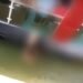 Casal é flagrado fazendo sexo dentro de lago próximo a flutuante