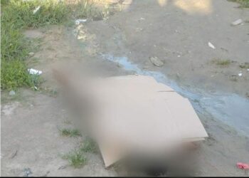 Homem é brutalmente assassinado a pauladas  no Santa Etelvina