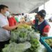 Presentão: Manaus ganha Feira de Produtos Regionais, no Complexo da Ponta Negra