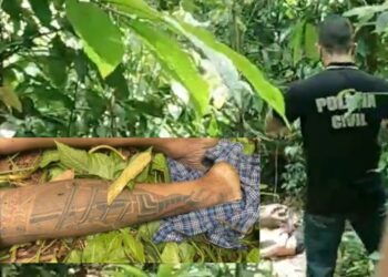 Corpo de homem é encontrado em mata com a cabeça esmagada por concreto, em Manaus
