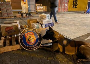 Polícia Federal apreende 5 toneladas de cocaína escondidas em caixas de sabão de pó