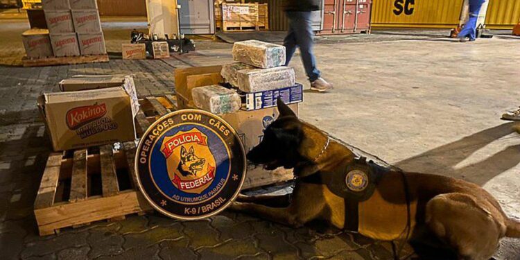 Polícia Federal apreende 5 toneladas de cocaína escondidas em caixas de sabão de pó