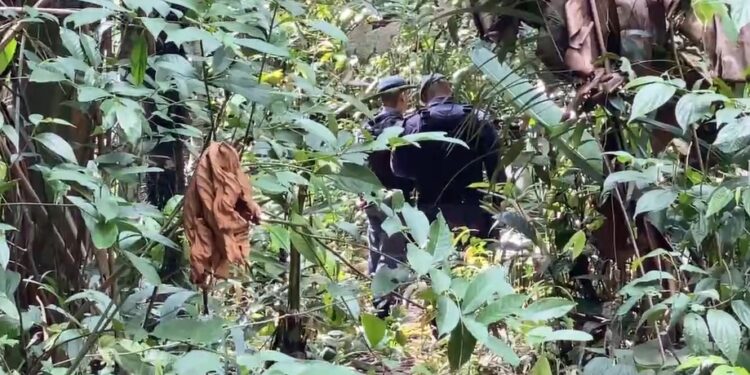 Mulher é executada com tiros na nuca em ‘fumódromo’, no São José