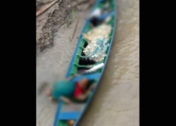 Família inteira é brutalmente assassinada em chacina no interior do Amazonas