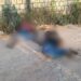 Dois homens assassinados por dever traficantes e têm corpos jogados em ramal, no Lago Azul
