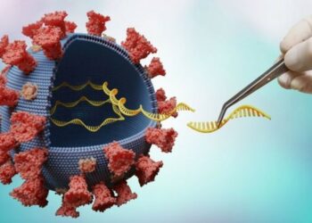 Nova variante do coronavírus com mais poder de transmissão é detectada na África