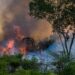 Desmatamento na Amazônia bate triste recorde e preocupa ambientalistas