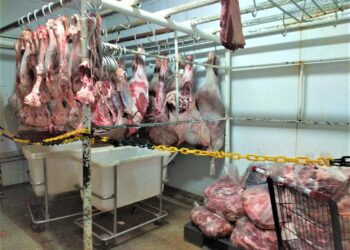 Mais de 1,5 tonelada de carne vencida é apreendida em supermercado da zona Centro-Sul