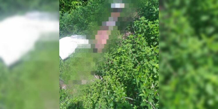 Homem é achado morto, com a cabeça esmagada, no Cidade de Deus