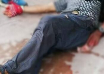 VÍDEO: Crocodilo ataca turista que fez selfie com ele achando que era um animal de plástico