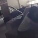Flagrante: Babá é presa por sufocar bebê de 5 meses enquanto cuidava dele