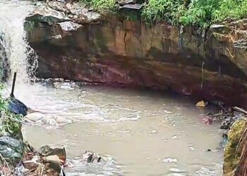 VÍDEO: Corpo de homem é encontrado esquartejado em igarapé, na Compensa