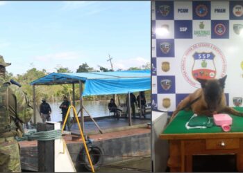 Cão policial aponta homem com dois quilos de drogas em embarcação próxima a Coari