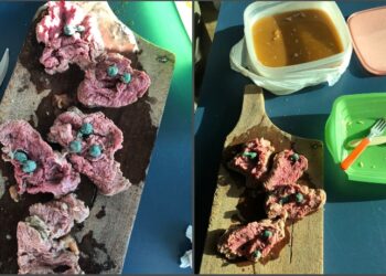 Mulher é presa ao tentar levar drogas escondidas em carnes para irmão, na cadeia