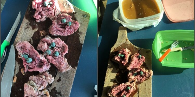 Mulher é presa ao tentar levar drogas escondidas em carnes para irmão, na cadeia