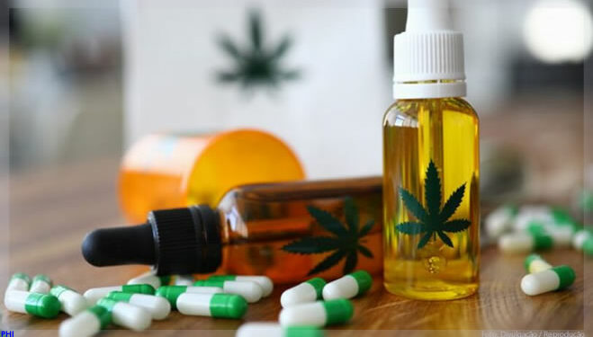 Anvisa libera dois produtos a base de cannabis para venda em farmácias