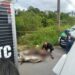 Corpo em avançado estado de putrefação é encontrado no Distrito Industrial