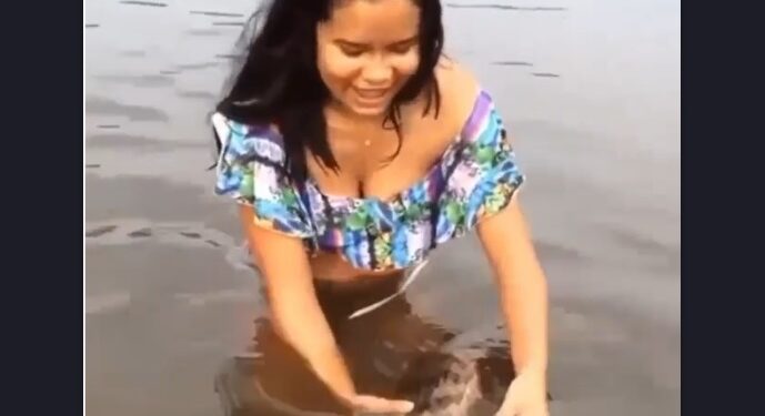 VÍDEO: Jovem ‘dá banho’ em jacaré de estimação no interior do Amazonas