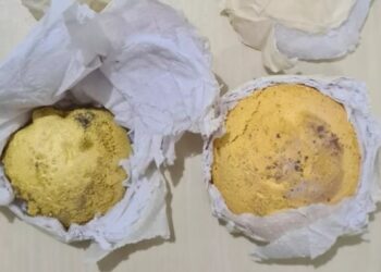 Prefeito de Jutaí é preso pela Polícia Federal tentando embarcar com ouro ilegal