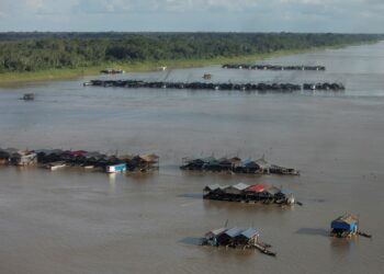 Wilson Lima pede envio da Força Nacional de Segurança para conter garimpeiros do rio Madeira