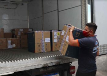 Amazonas recebe mais de 50 mil doses de vacinas da Pfizer nesta terça