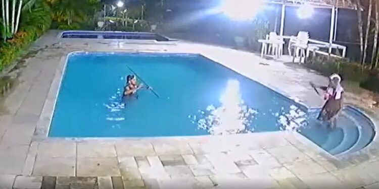 VÍDEO: Bandidos jogam caseiro dentro de piscina durante assalto a chácara, na zona Norte de Manaus