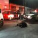 VÍDEO: Bandidos são detidos pela população e levam surra até chegada da polícia, no Cidade de Deus