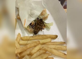 Cliente acha barata em meio a sanduiche e por pouco não come o inseto