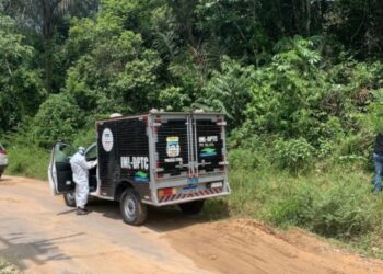 Cenas fortes: Corpo de homem é encontrado em avançado estado de putrefação, em mata na BR-174