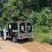 Cenas fortes: Corpo de homem é encontrado em avançado estado de putrefação, em mata na BR-174