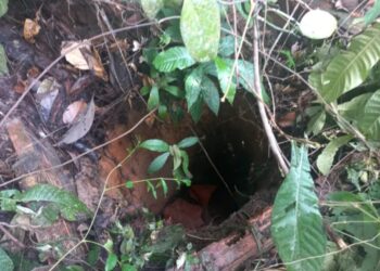 Corpo em decomposição é encontrado dentro de buraco em mata, no Mauazinho