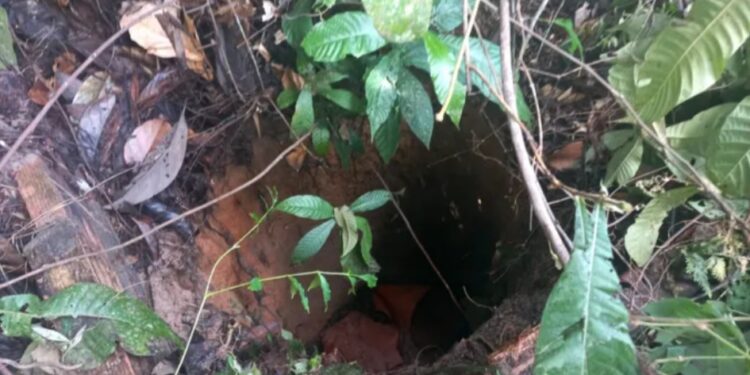 Corpo em decomposição é encontrado dentro de buraco em mata, no Mauazinho