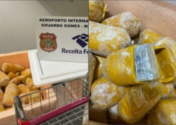 Homem é preso tentando embarcar com maconha escondida entre poupas de buriti no aeroporto de Manaus