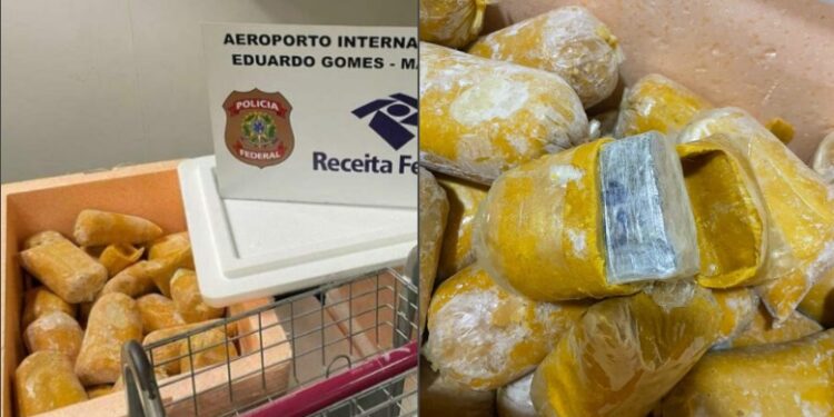 Homem é preso tentando embarcar com maconha escondida entre poupas de buriti no aeroporto de Manaus