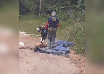 Ossada humana é encontrada por dona de terreno, na Torquato Tapajós