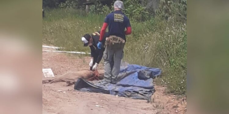 Ossada humana é encontrada por dona de terreno, na Torquato Tapajós