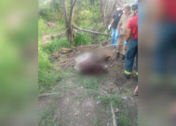 Corpo decapitado é encontrado em mata no Cacau Pirêra