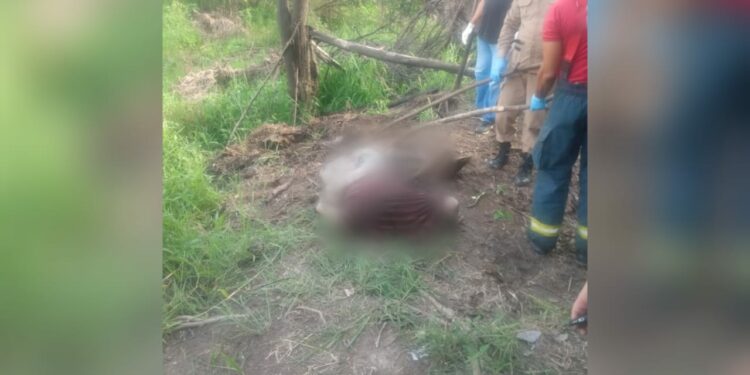 Corpo decapitado é encontrado em mata no Cacau Pirêra