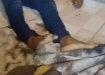 Funcionário da Prefeitura e namorada são executados em casa na Colônia Antônio Aleixo