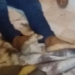 Funcionário da Prefeitura e namorada são executados em casa na Colônia Antônio Aleixo